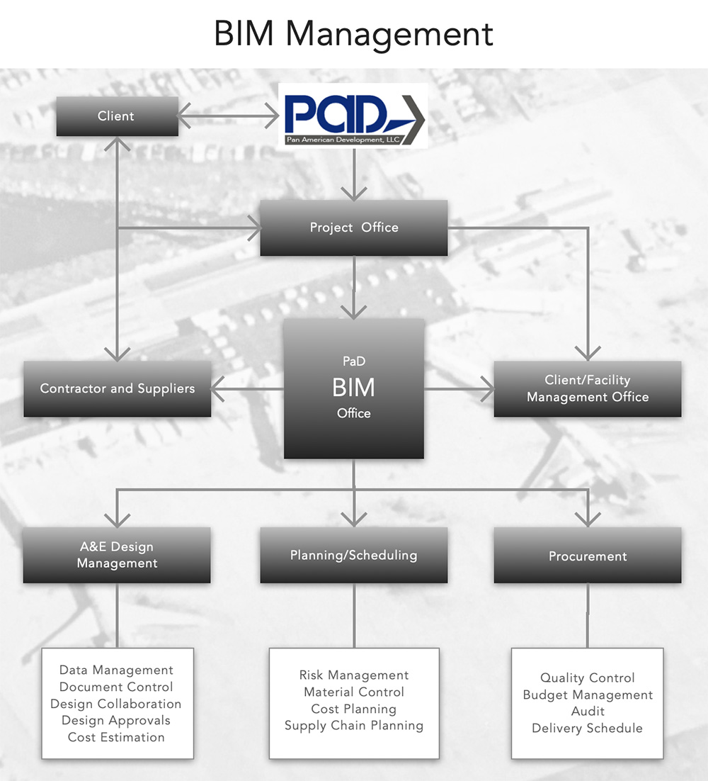 Typical BIM Management Organizational Structure